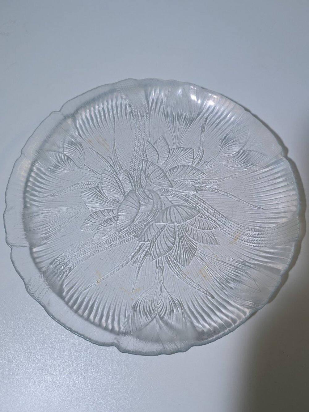 Vintage Arcoroc France "Canterbury" Clear Glass Dinner Plate